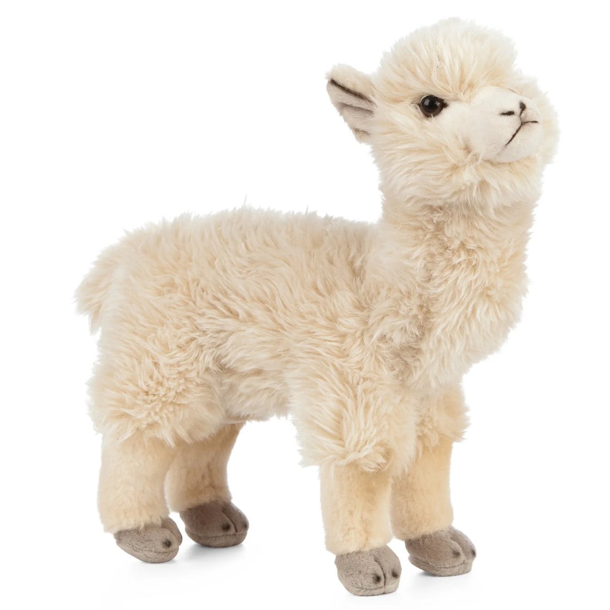 Living Nature - Alpaca