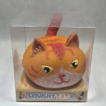 An orange tabby cat-shaped squishy toy inside a clear plastic packaging box, photographed on a light gray surface.