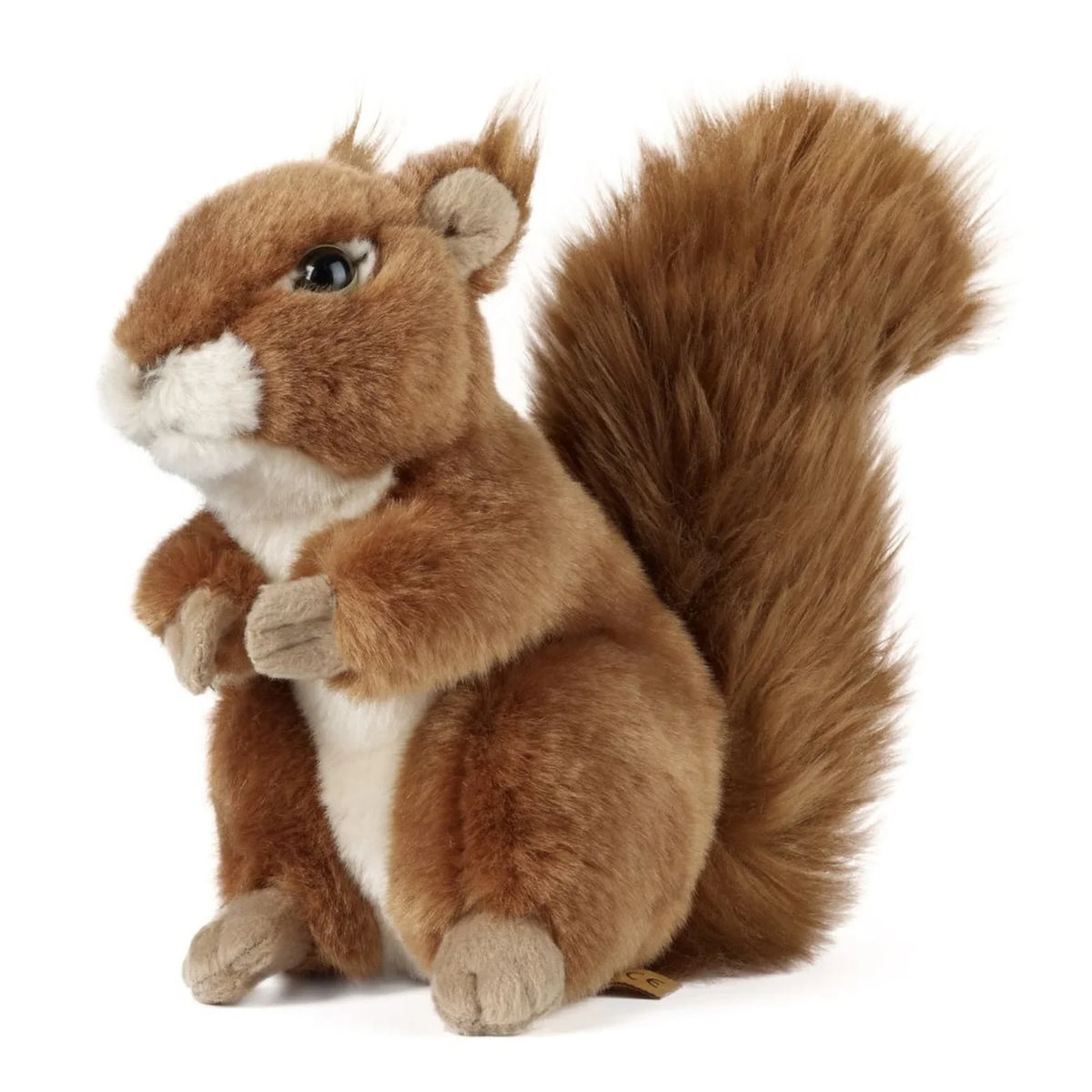 Living Nature - Squirrel Large