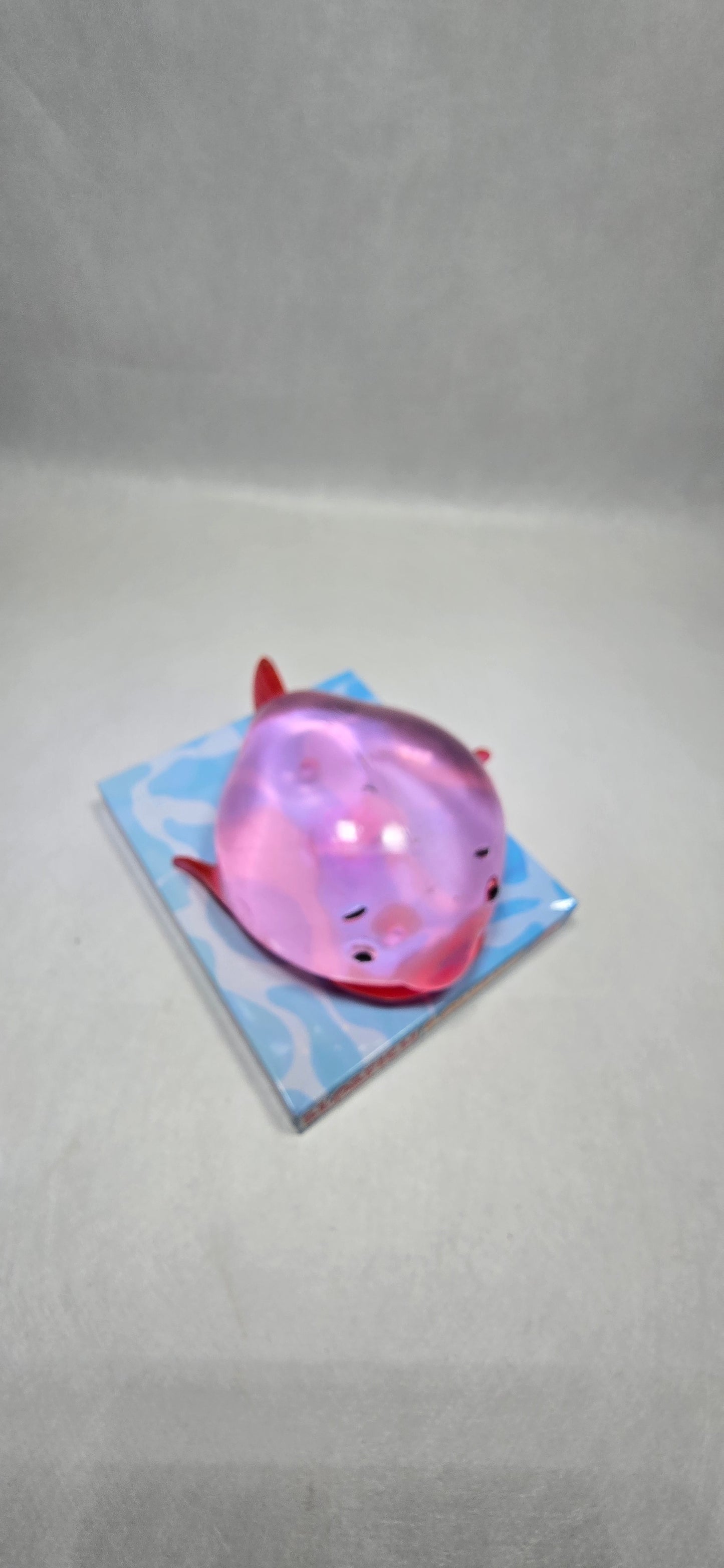 Squishy Translucent 13cm Blobfish assorted