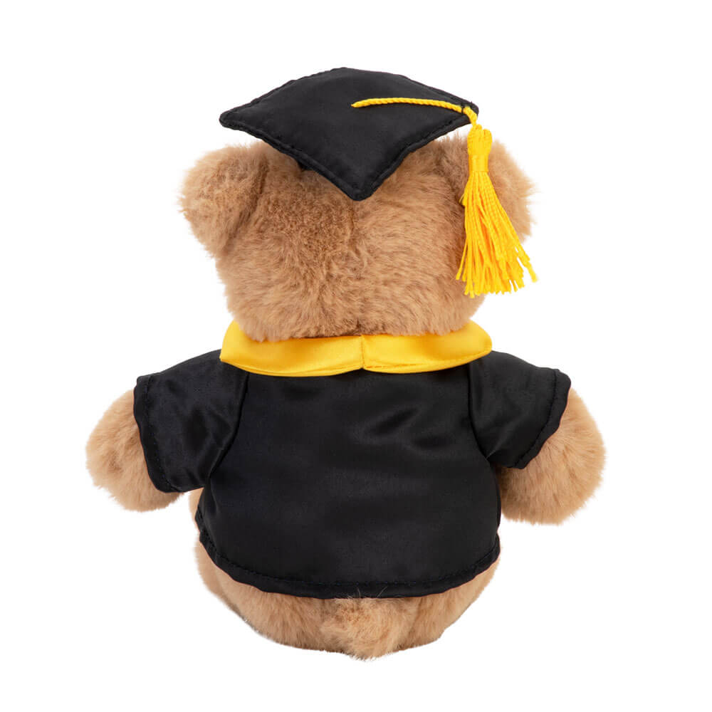 With Heart - Graduation Bear 16cm
